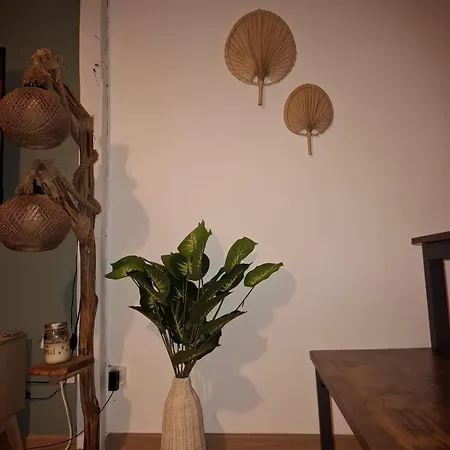 T2 En Perigord Apartament Périgueux